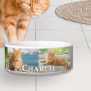 Search for cat bowls Kitty