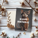 Search for sphynx cat cards Humor