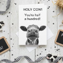 Search for cow cards Funny