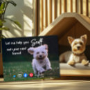 Search for funny real estate postcards Dog