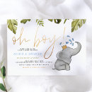 Search for sprinkle baby shower Modern