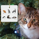 Search for funny cat ornaments Cats