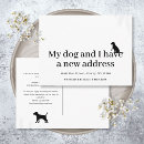 Search for new pet invitations Black and white