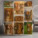 Search for photo shower curtains Collage