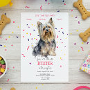 Search for yorkie puppies invitations Dogs
