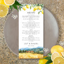 Search for lemon menus La dolce vita