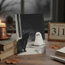 Search for halloween postcards Cat