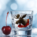 Search for moose gifts Wildlife
