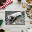 Search for funny dog valentines day cards Golden retriever