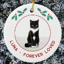 Search for pet memorial ornaments Modern