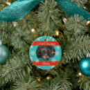 Search for cat ornaments Pet