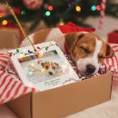 Search for dog first ornaments Colorful