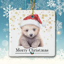 Search for holiday polar bear ornaments Happy new year