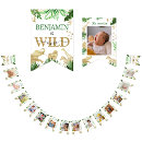 Search for wild one birthday decor Modern