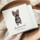 Search for dog napkins Drinks on me