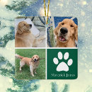 Search for dog ornaments Cute