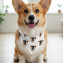 Search for photo dog collars Pet