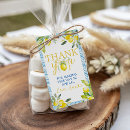 Search for lemon favor tags Main squeeze