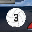 Search for volleyball ball Team