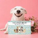 Search for teal business cards Flowers