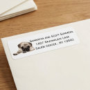Search for pug return address labels Puppy