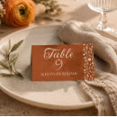 Search for mexican place cards Terracotta
