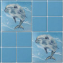 Search for dolphin tiles Beach