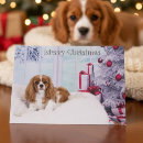 Search for cavalier king charles spaniel christmas cards Winter