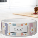 Search for daisy pet bowls Floral