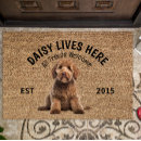Search for goldendoodle gifts Pets