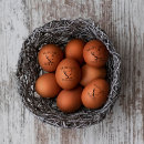 Search for chicken rubber stamps Fresh eggs