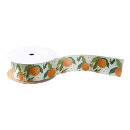 Search for orange fruit ribbon Clementine