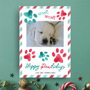 Search for happy pawlidays cards Paws