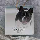 Search for family with dog ornaments Dogs