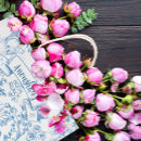 Search for toile gift bags Bridal shower