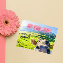 Search for cow get well cards Feel better