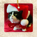 Search for tuxedo cat ornaments Pets