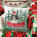 Search for springer spaniel Festive