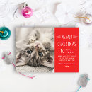 Search for cat christmas cards meowy