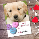 Search for funny dog valentines day cards Golden retriever
