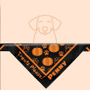 Search for halloween dog bandanas Pumpkin