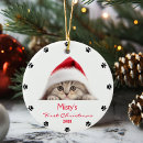 Search for cat ornaments Silver