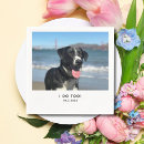 Search for dog wedding napkins Fun