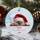 Search for ragdoll cat ornaments First christmas