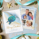 Search for turtle christmas cards Tropical