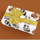 Search for pig wrapping paper Pet