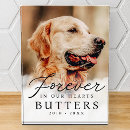 Search for dog memorial photo display Forever in our hearts