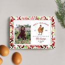 Search for chicken christmas cards watercolor