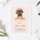 Search for dachshund invitations Watercolor