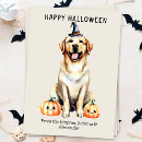Search for dog halloween cards Pumpkin